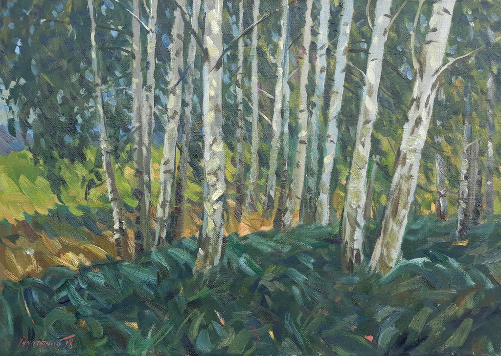 Birch grove