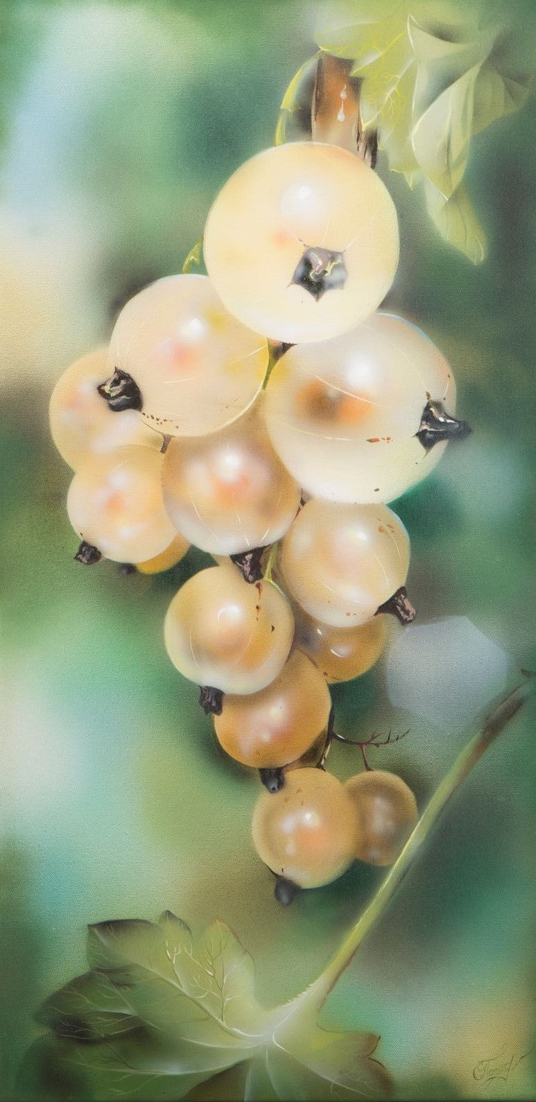 White Currant